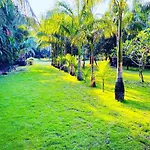 Aai Farm