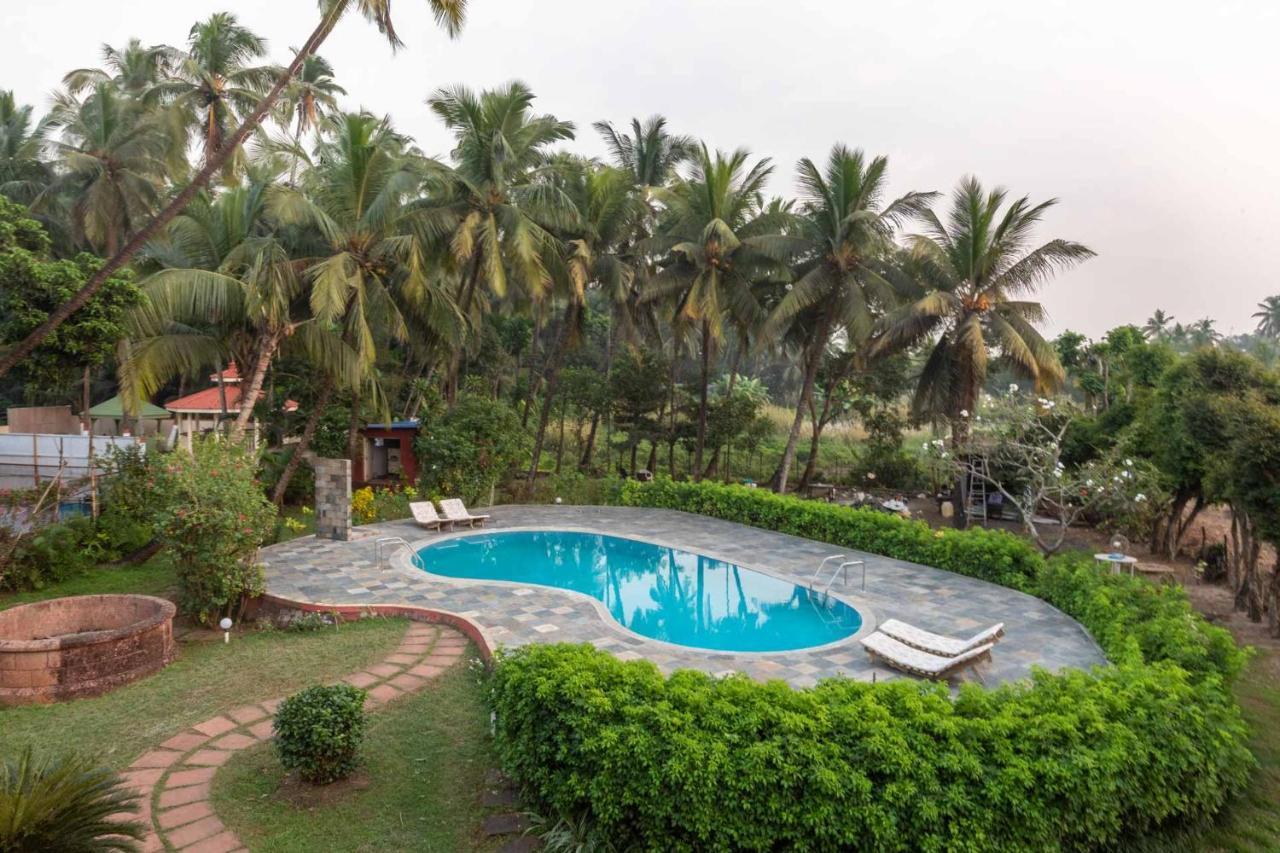 Stayvista At Tranquil Bay- Exclusive Getaway In Alibaug *