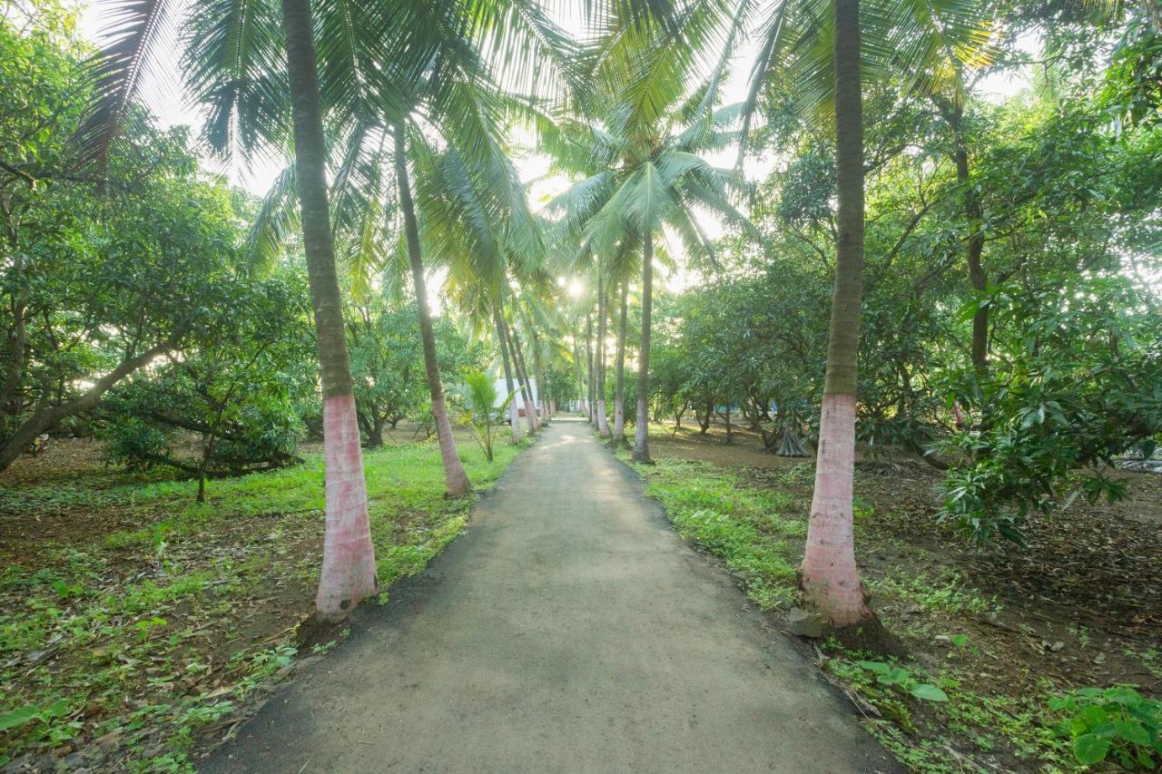 Hotel Oyo 18638 Coco Mango Alibag