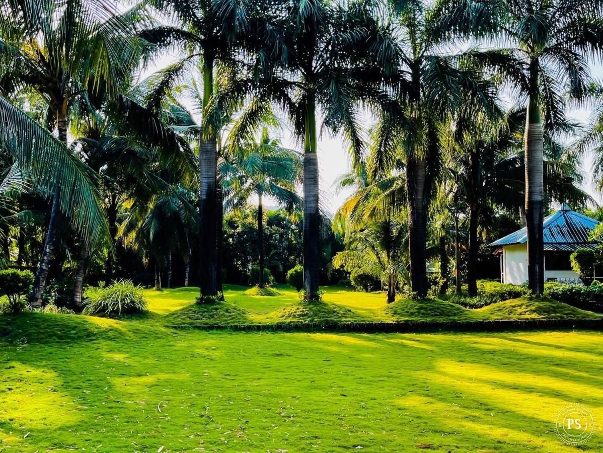 Aai Farm *