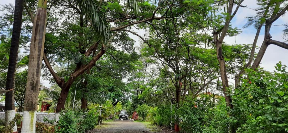 Prajakta Bed & Breakfast