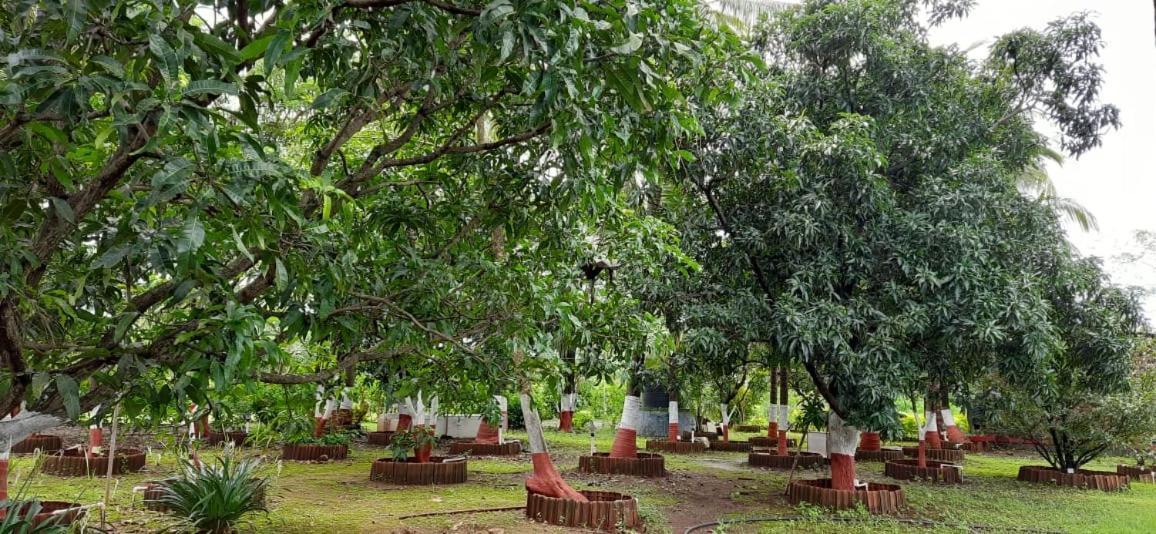 Prajakta Bed & Breakfast Alibag