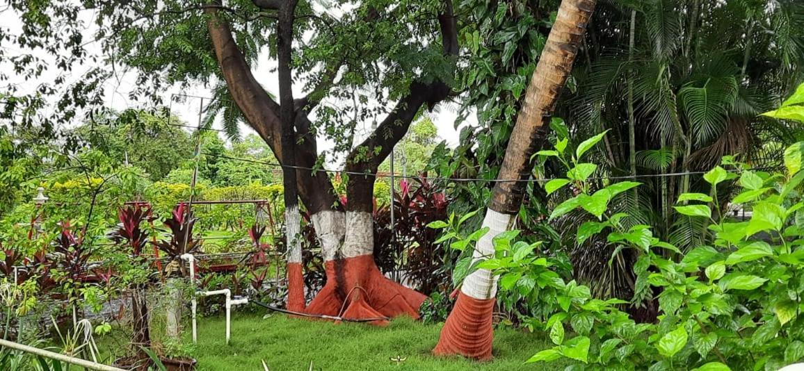 Bed & Breakfast Prajakta *