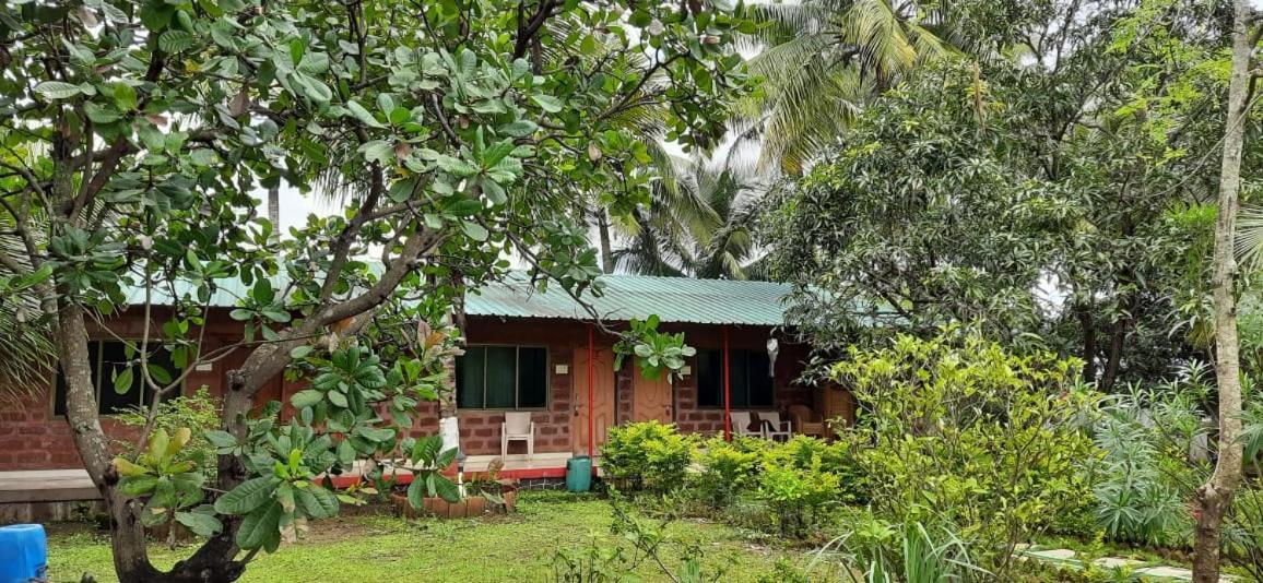 Bed & Breakfast Prajakta