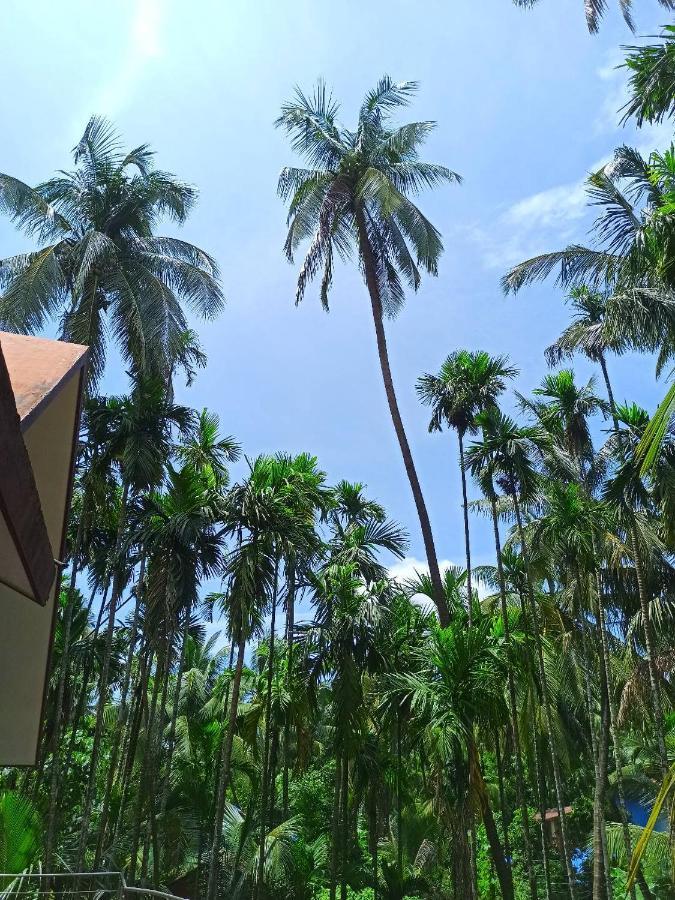 Ashoka Homestay *
