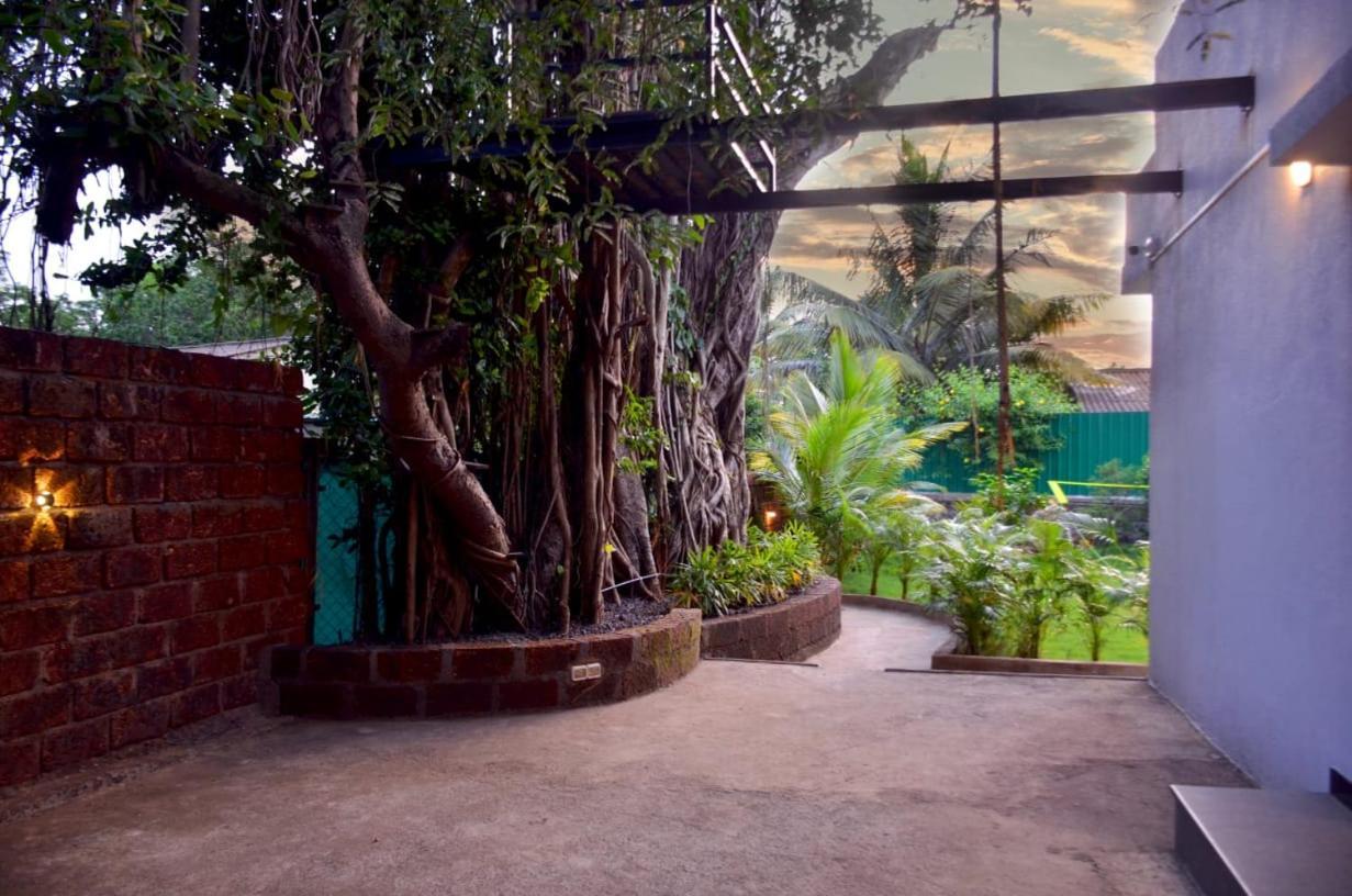 Serenity Alibag
