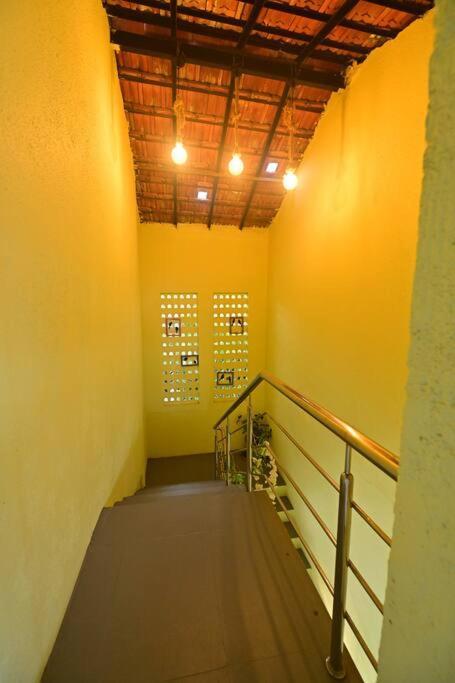 Arika Farm Alibag