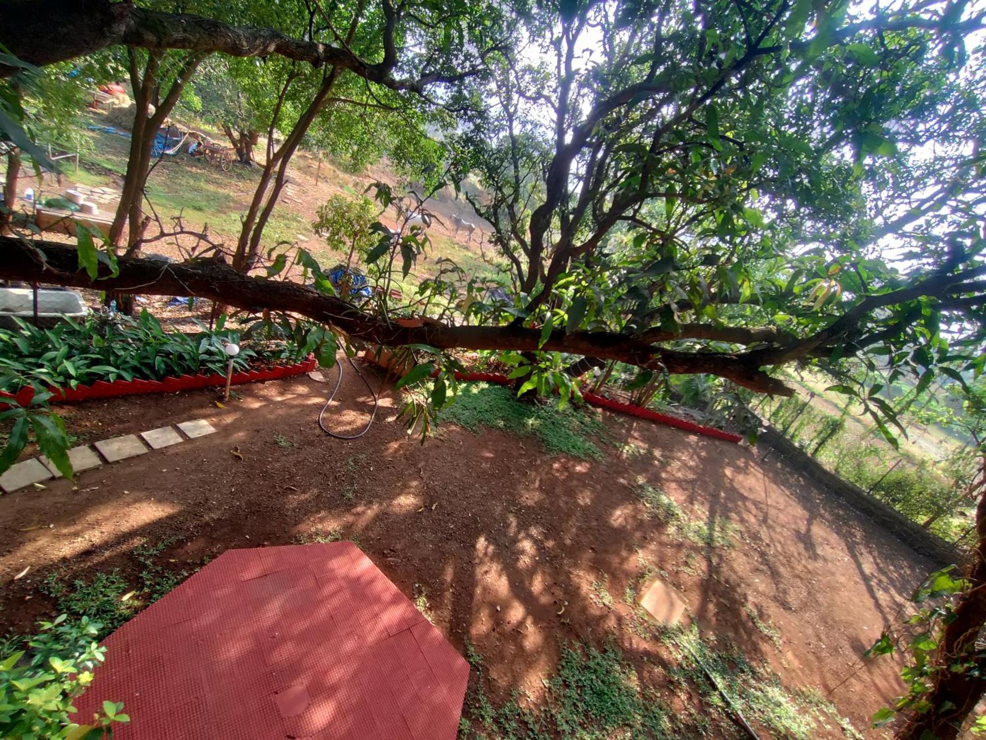 Resort Opulence Boutique Alibaug Alibag