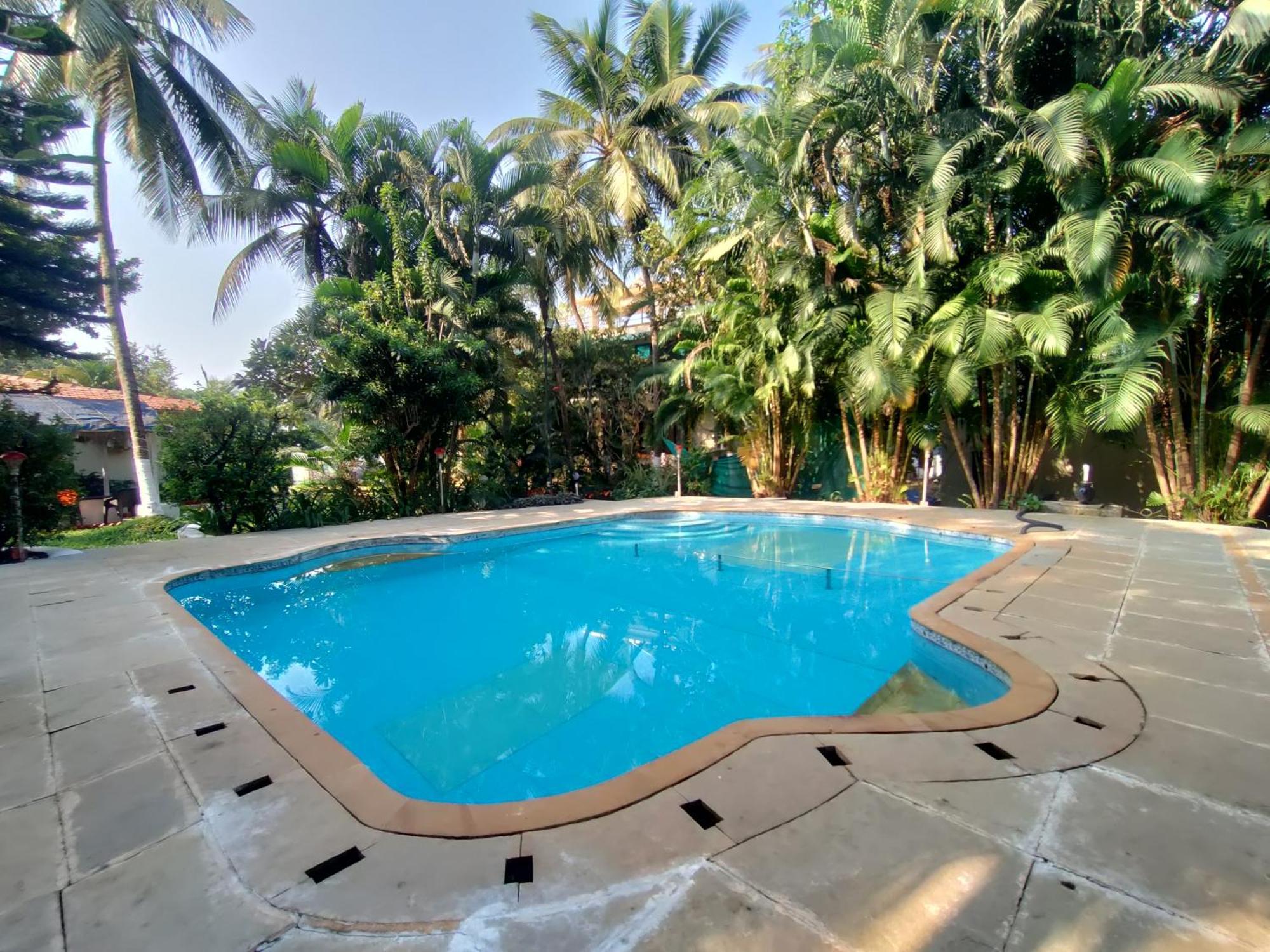 Resort Opulence Boutique Alibaug Alibag