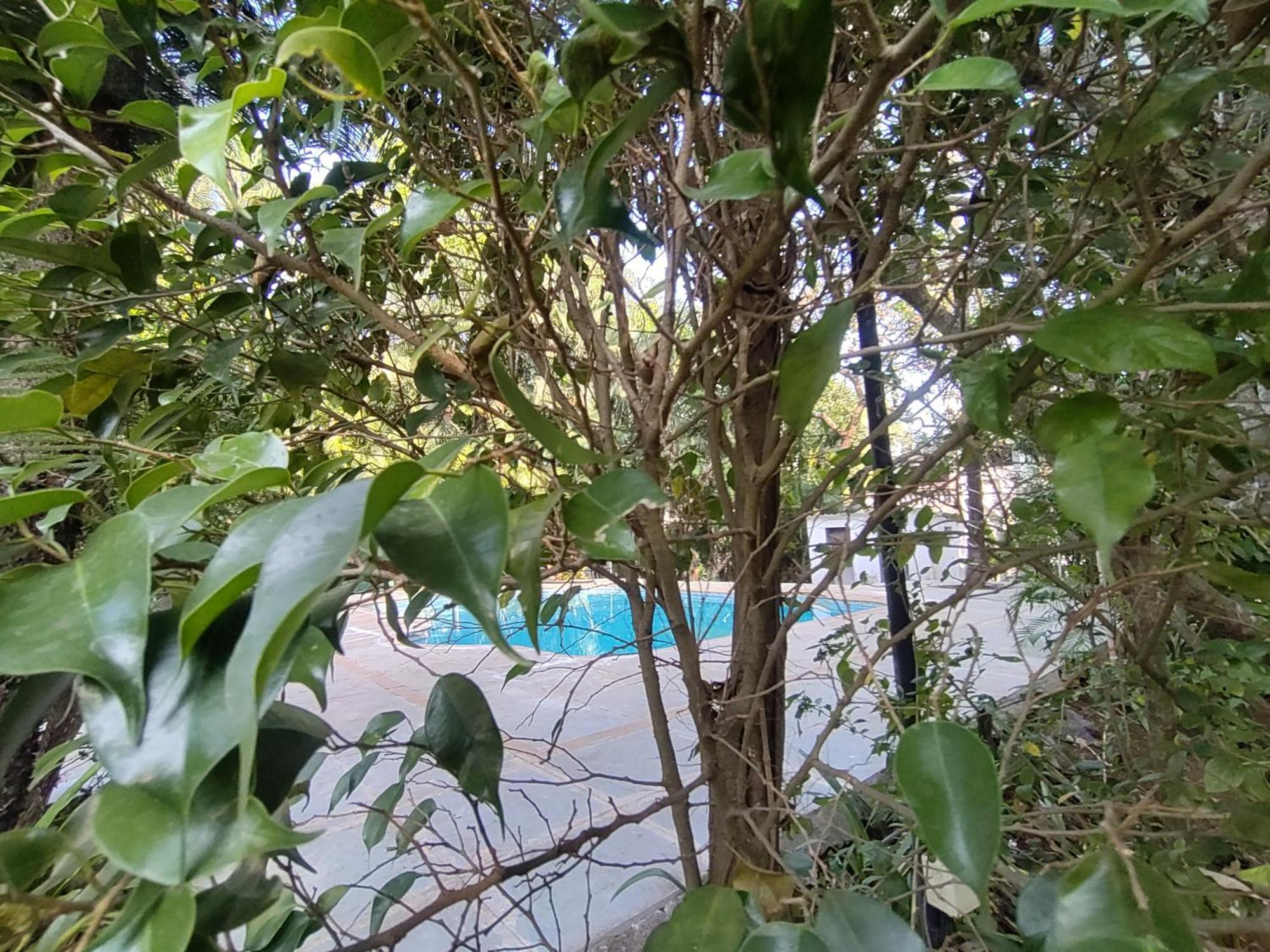 Opulence Boutique Alibaug Resort