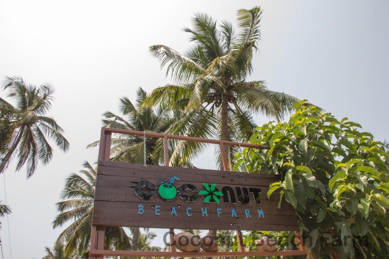 Resort Coconut Farm