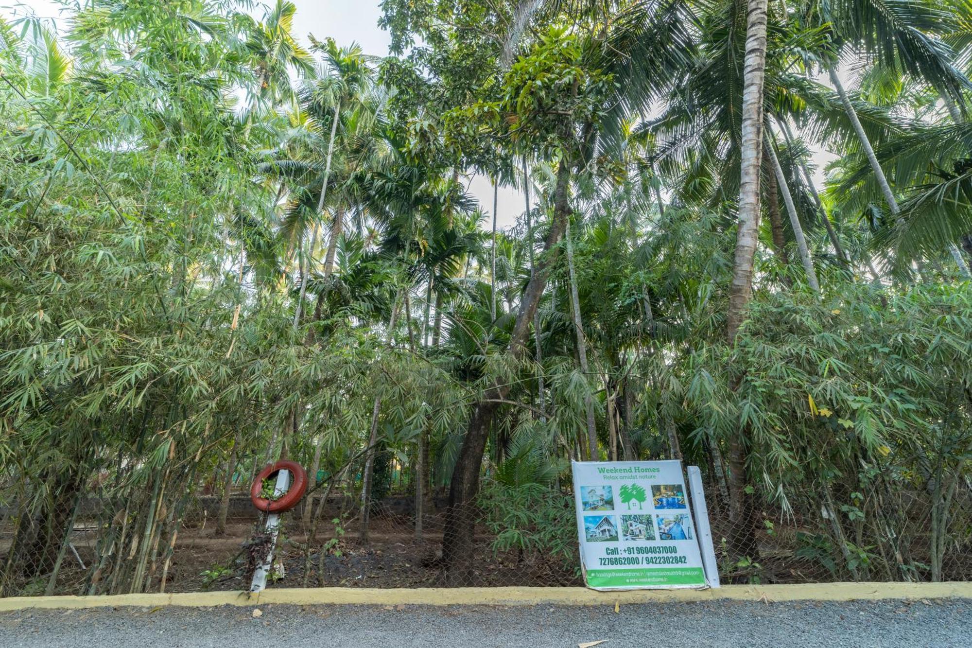 Resort Coconut Farm