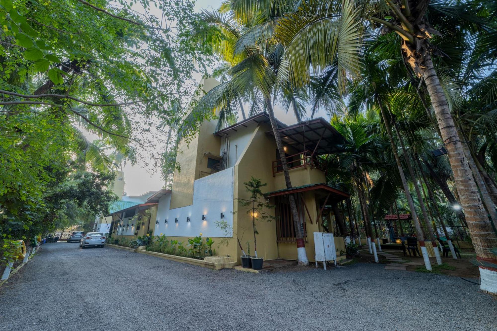 Coconut Farm