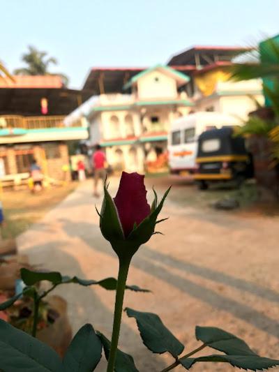 Villa Vruhi 6bhk Alibaug Alibag