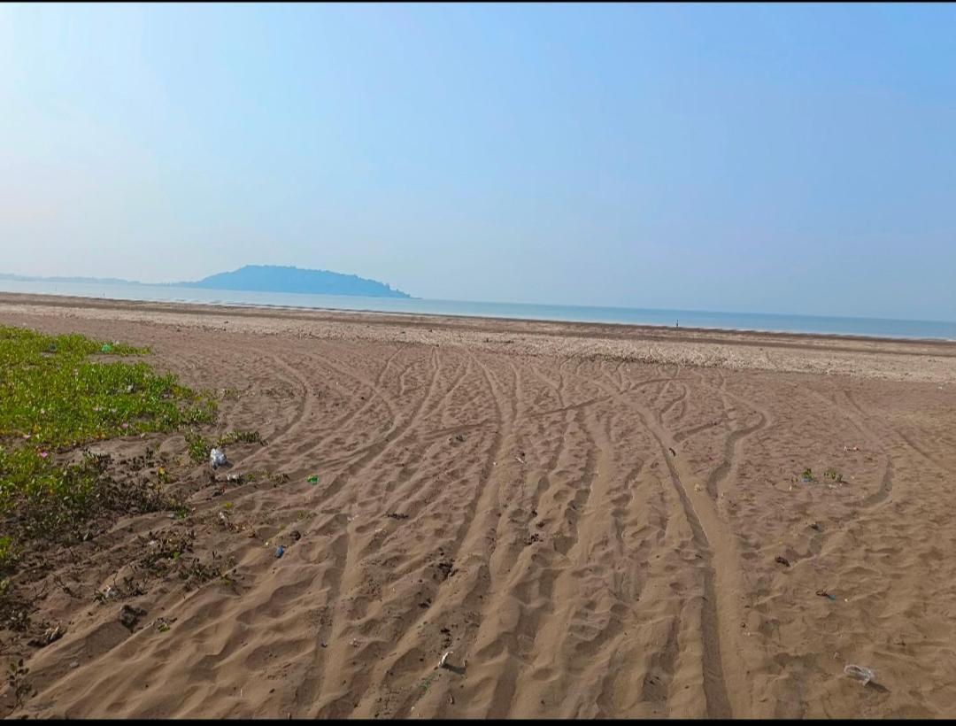 Sea Bird Behind Revdanda High School Resort *