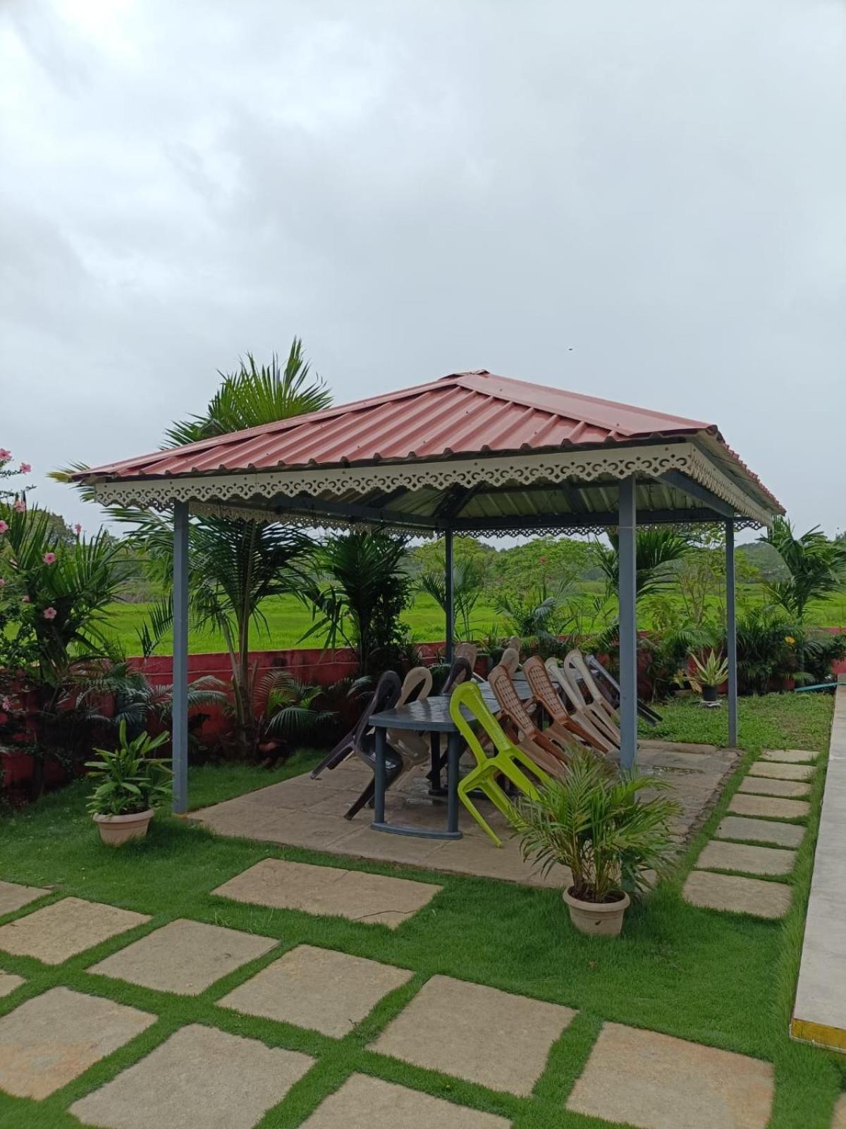 Palm And Alibag