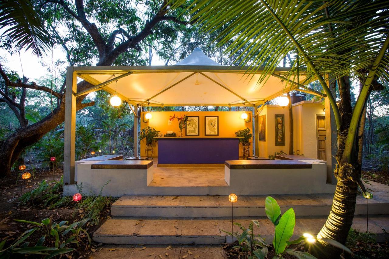 Resort Mango Farm House