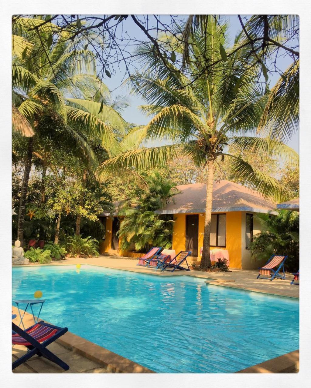 Resort Mango Farm House