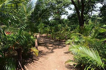 Resort Mango Farm House Alibag